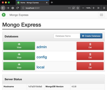 Mongo Express database management user interface