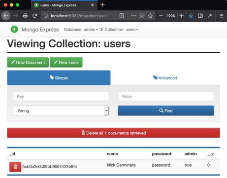 Mongo Express JWT sample code database